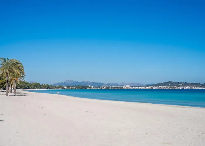 Ideal Property Mallorca - Casa Pinar